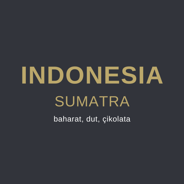 Indonesia Sumatra Filtre Kahve, Indonesia Kahvesi, Endonezya Kahvesi, endonezya kahve yetişen bölgeler, sumatra kahve