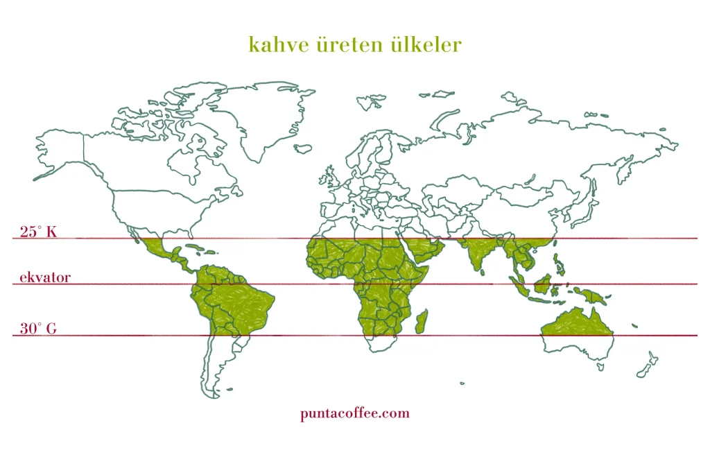 Dünya haritasında kahve üreten ülkeler ve ekvator çevresindeki kahve kuşağı