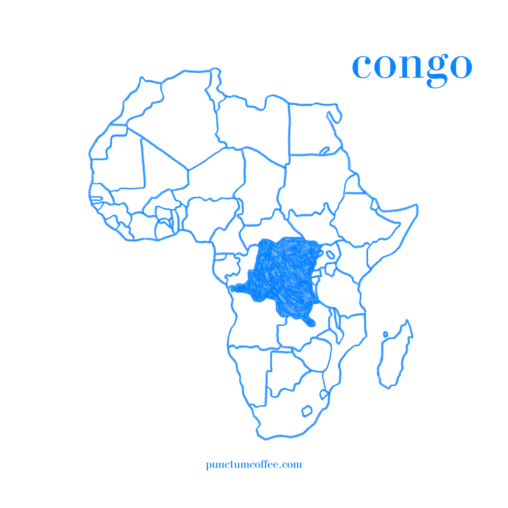 congo kahve, congo arabica kahve, congo kahvesi, afrika kahvesi
