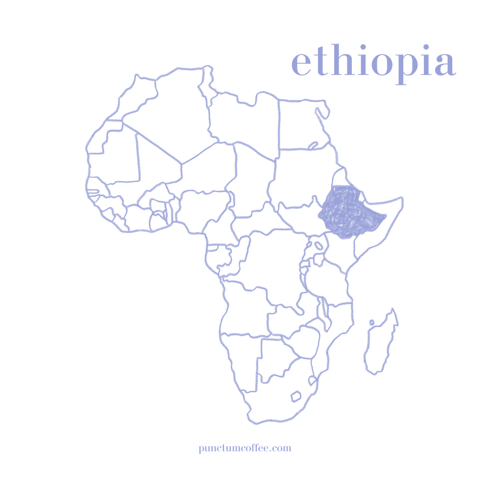ethiopia kahve, arabica kahve, etiyopya kahvesi, afrika kahvesi