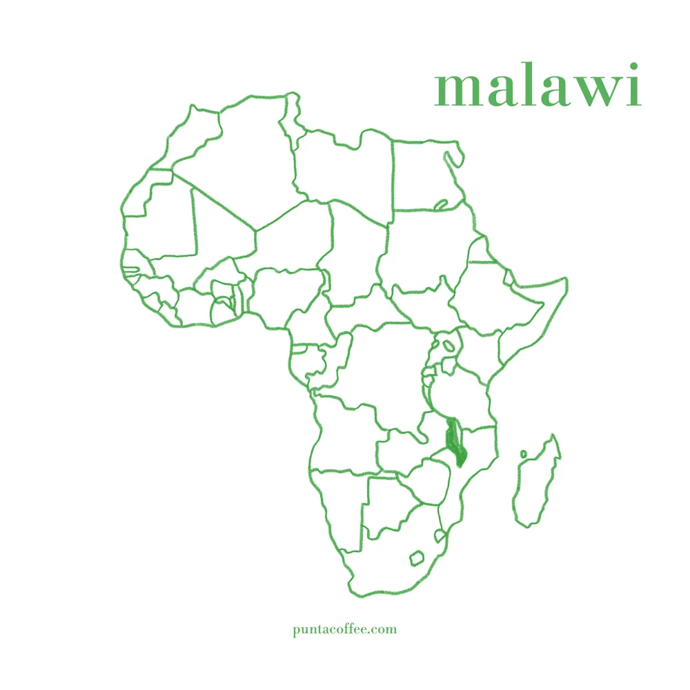 Afrika haritasında Malavi'nin konumu
