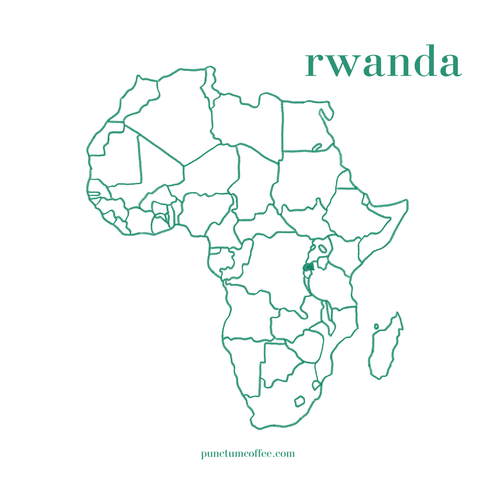rwanda kahve, arabica kahve, ruanda kahvesi, afrika kahvesi