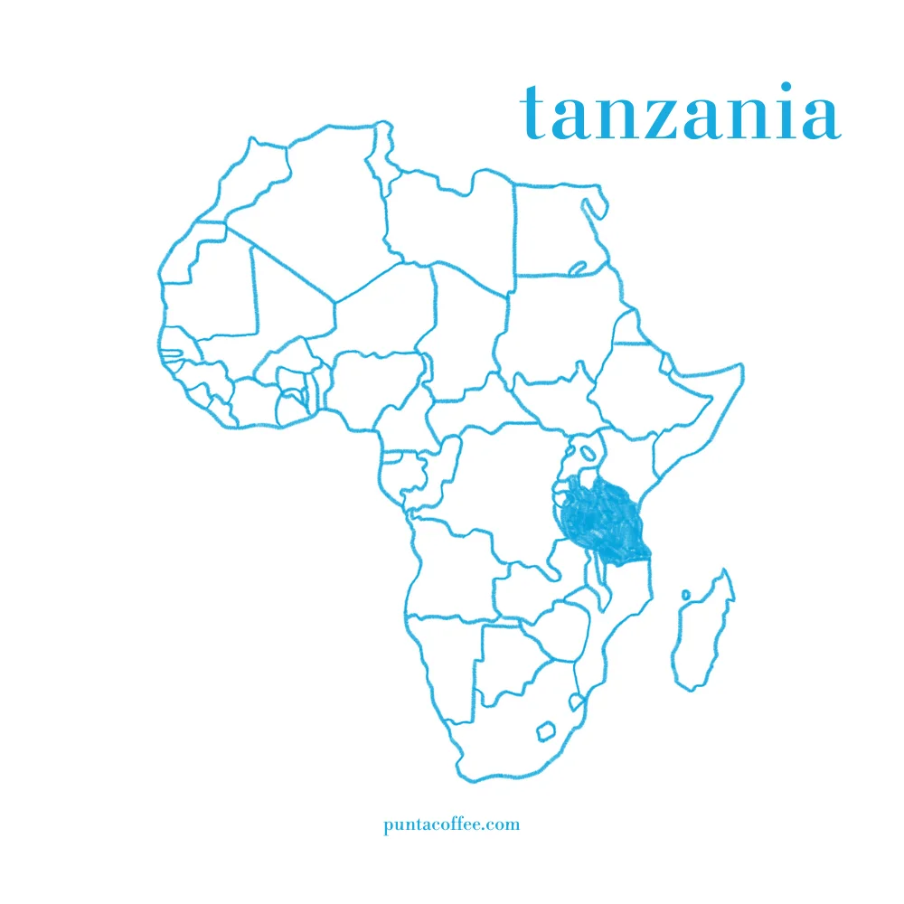 Afrika haritasında Tanzanya'nın konumu