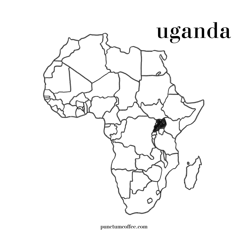 ethiopia kahve, arabica kahve, uganda kahvesi, afrika kahvesi