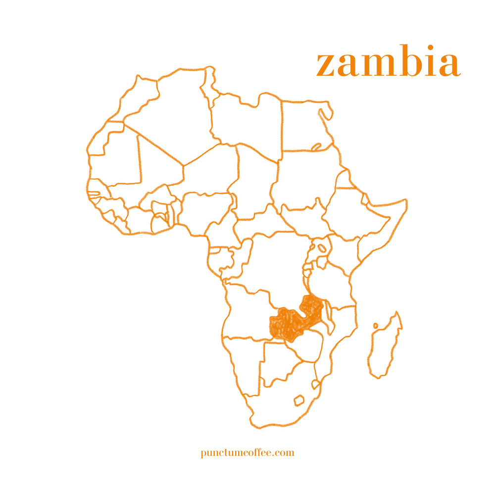 zambia kahve, zambia arabica kahve, zambiya kahvesi, afrika kahvesi