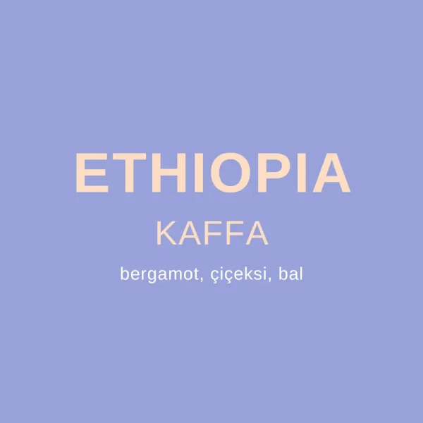 Ethiopia Kaffa Kahvesi