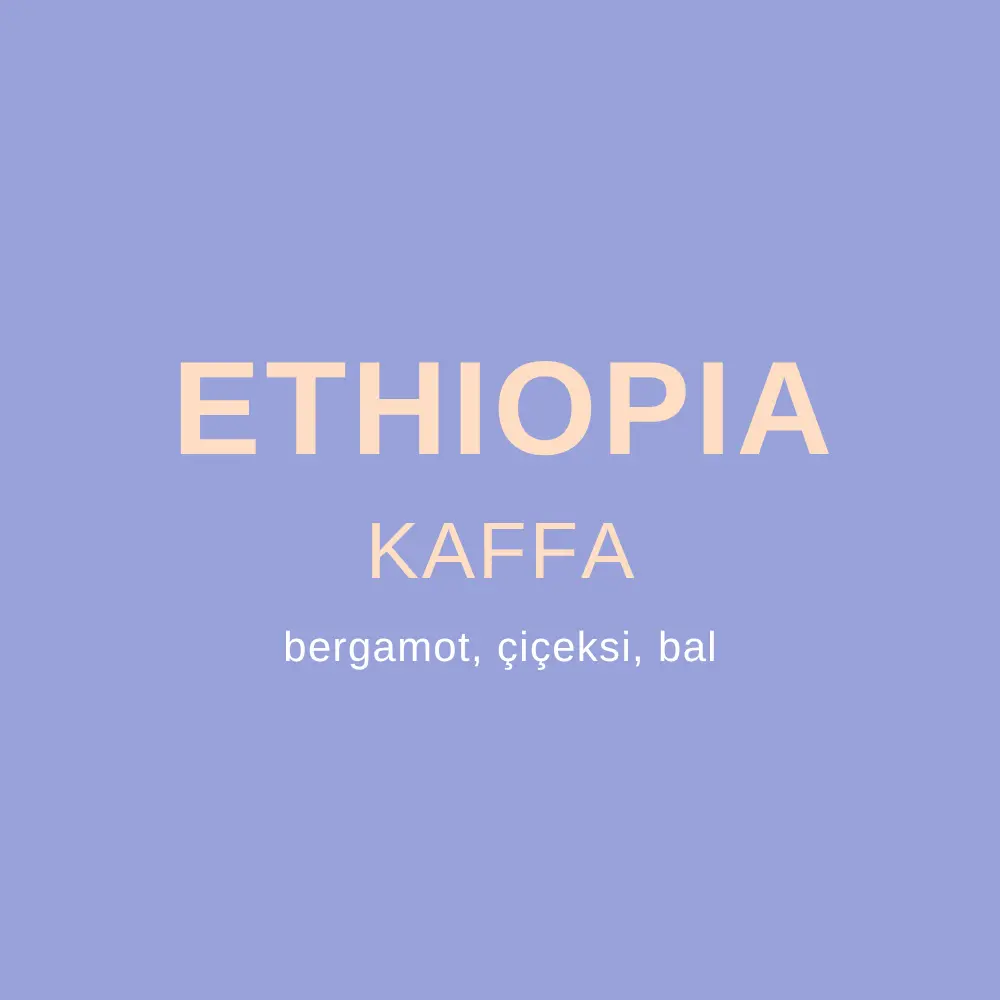Ethiopia Kaffa Kahvesi